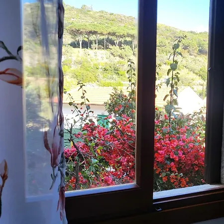 Vanacore Holiday home *